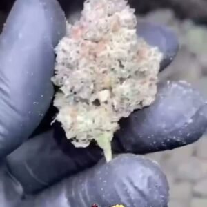 ezgif-frame-001 (1) cali weed